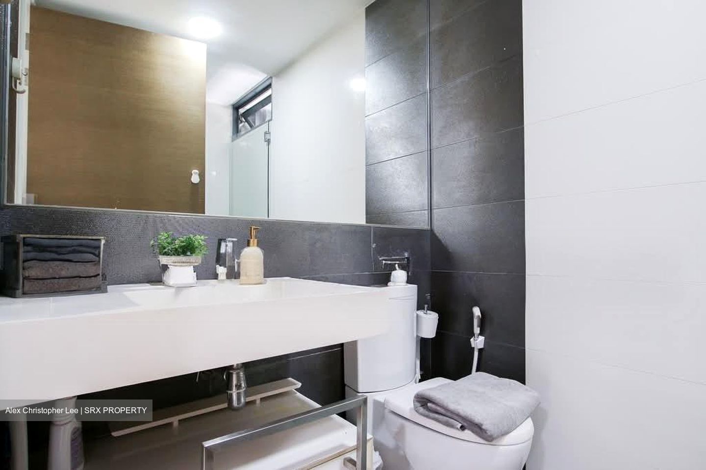 The Trizon (D10), Condominium #541016481